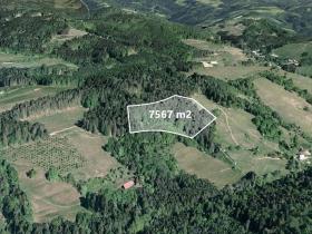 Prodej pole, Francova Lhota, 7567 m2