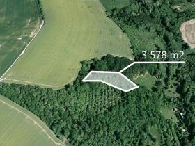Prodej podílu lesa, Lhota, 257 m2