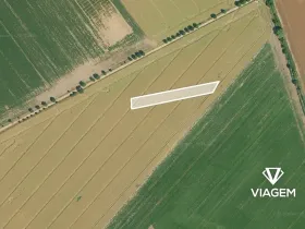 Prodej pole, Třibřichy, 2990 m2