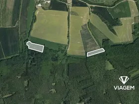Prodej podílu lesa, Nedachlebice, 862 m2