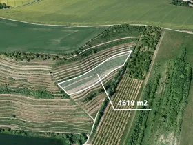 Prodej pole, Lovčičky, 4619 m2
