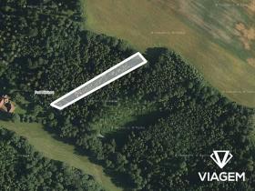 Prodej lesa, Jindřichov, 1945 m2
