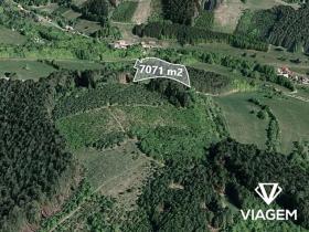 Prodej lesa, Hovězí, 7071 m2