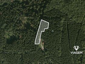 Prodej podílu lesa, Morávka, 1550 m2