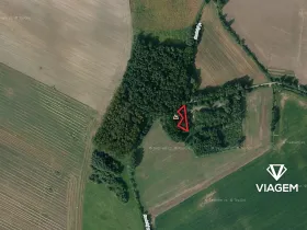 Prodej podílu lesa, Přelouč, 241 m2