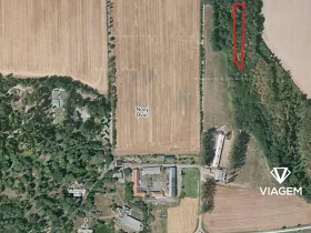 Prodej podílu lesa, Stěbořice, 741 m2