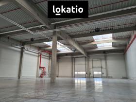 Pronájem skladu, Ostrava, 1168 m2