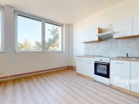 Pronájem bytu 1+kk, Mlékojedy, 35 m2