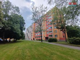 Prodej bytu 2+1, Orlová - Lutyně, Lesní, 55 m2