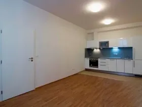 Pronájem bytu 2+kk, Brno, Úvoz, 57 m2