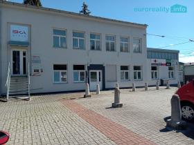 Pronájem kanceláře, Mariánské Lázně, Tepelská, 12 m2