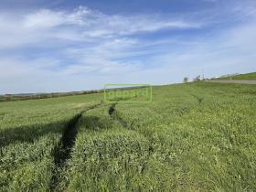 Prodej pole, Brno - Tuřany, 5446 m2