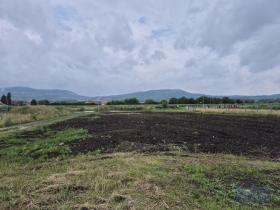 Prodej pozemku pro bydlení, Dolní Dunajovice, Pálavská, 1250 m2