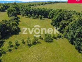 Prodej louky, Vizovice, Těchlov, 7426 m2