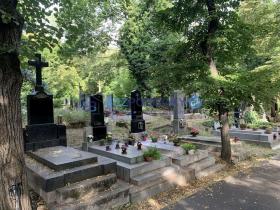 Prodej - jiné, Praha, Vinohradská, 5 m2