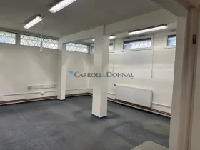 Pronájem skladu, Brno - Lesná, Loosova, 38 m2