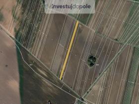 Prodej pole, Kostice, 2446 m2