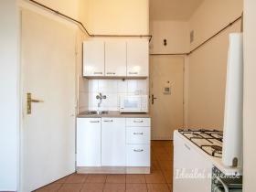 Prodej bytu 2+kk, Praha - Žižkov, Hartigova, 49 m2