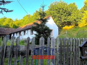 Prodej chalupy, Temešvár, 114 m2