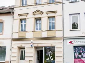 Prodej obchodního prostoru, Litvínov - Horní Litvínov, Smetanova, 359 m2