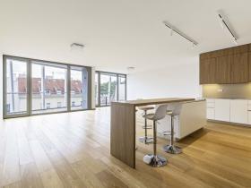 Pronájem bytu 4+kk, Praha - Smíchov, Holečkova, 196 m2