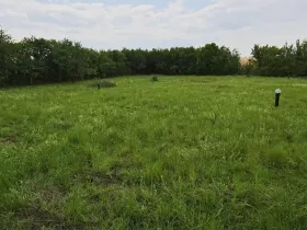 Prodej pozemku pro bydlení, Dymokury, 1000 m2