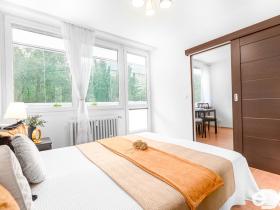 Prodej bytu 2+kk, Praha, Nekvasilova, 50 m2