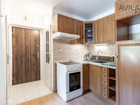 Prodej bytu 1+kk, Zvěstov - Roudný, 25 m2