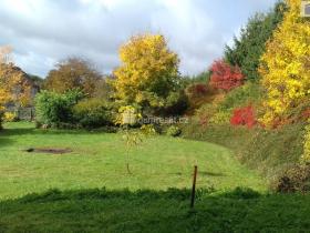 Prodej pozemku pro bydlení, Řendějov - Nový Samechov, 1981 m2