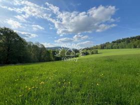 Prodej pozemku pro bydlení, Malšín, 113244 m2
