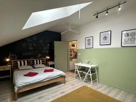 Prodej bytu 1+kk, Brno, Cejl, 24 m2