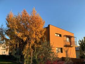 Prodej rodinného domu, Dolní Lhota, Lomená, 522 m2