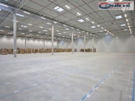 Pronájem skladu, Pavlov, Logistická, 9600 m2