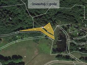 Prodej louky, Přimda - Málkov, 1766 m2