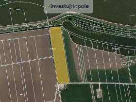 Prodej pole, Dolní Věstonice, 3751 m2