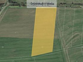 Prodej pole, Krušovice, 22900 m2