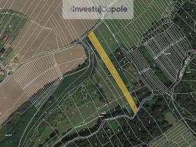 Prodej pole, Částkov, 7210 m2