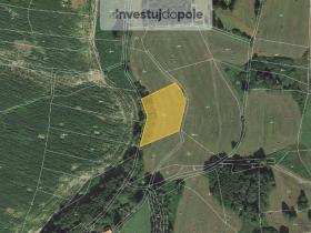 Prodej pole, Neurazy - Soběsuky, 4301 m2