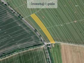 Prodej pole, Zborovice - Medlov, 1588 m2
