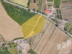 Prodej pole, Plzeň - Severní Předměstí, 11881 m2