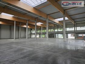 Pronájem výrobních prostor, Ostrava - Hrabová, Krmelínská, 6000 m2