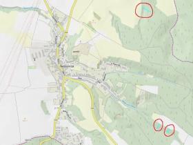 Prodej lesa, Neslovice, 2112 m2