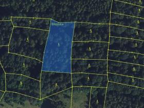 Prodej lesa, Městečko Trnávka, 4106 m2