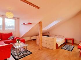Pronájem bytu 1+1, Brno, Jircháře, 45 m2