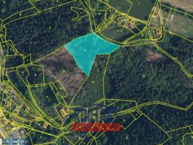 Prodej lesa, Železný Brod - Bzí, 6802 m2