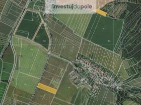 Prodej pole, Bezděčí u Trnávky, 2276 m2