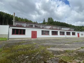 Prodej výrobních prostor, Karlovy Vary, K Přehradě, 8061 m2