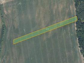 Prodej podílu pole, Džbánice, 6560 m2