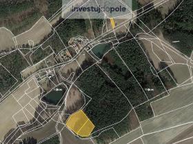 Prodej louky, Neveklov - Bělice, 8722 m2