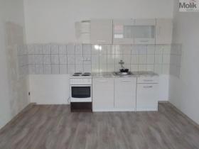 Pronájem bytu 1+1, Teplice - Trnovany, Havířská, 45 m2